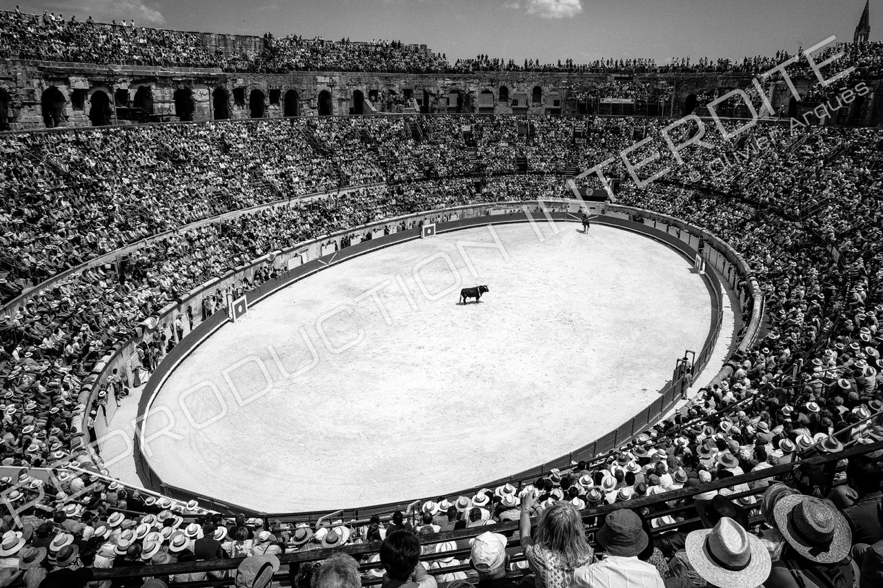 Arènes de Nîmes - France - 2015
